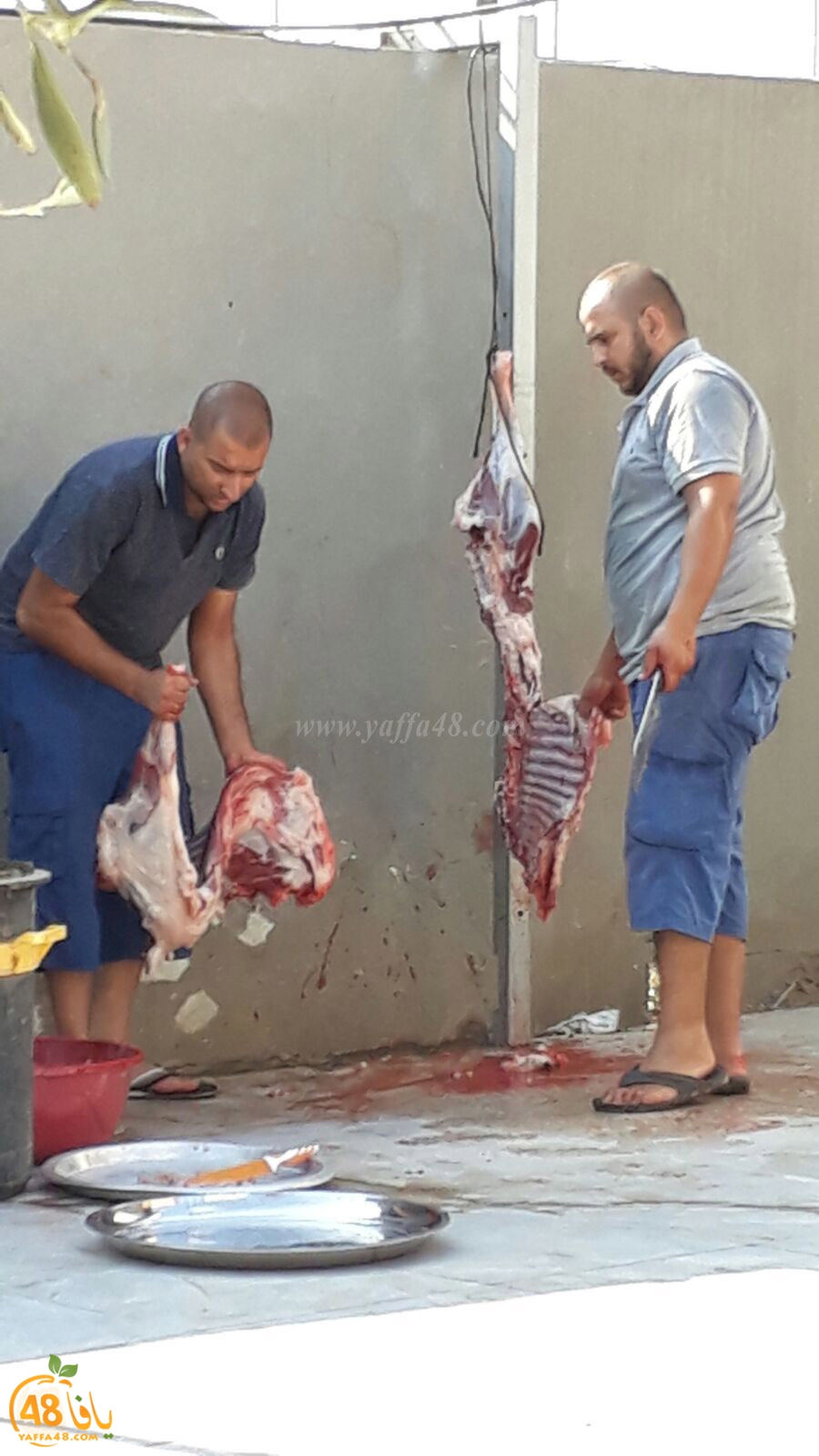 dab7 ada7y wu3ed (20).jpg